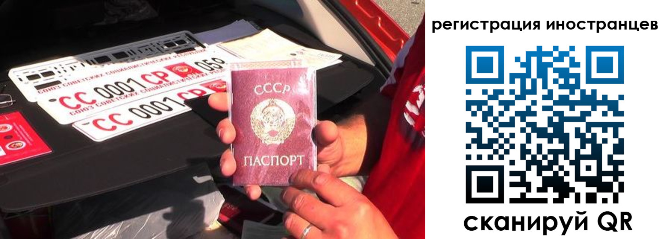 прописка гарантия в Каргополе
